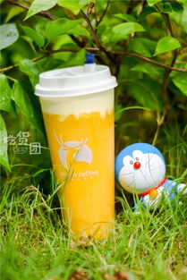 火爆全福州的小鹿茶測(cè)評(píng)來了！一口氣喝了5杯，你的夏日飲品要更新了